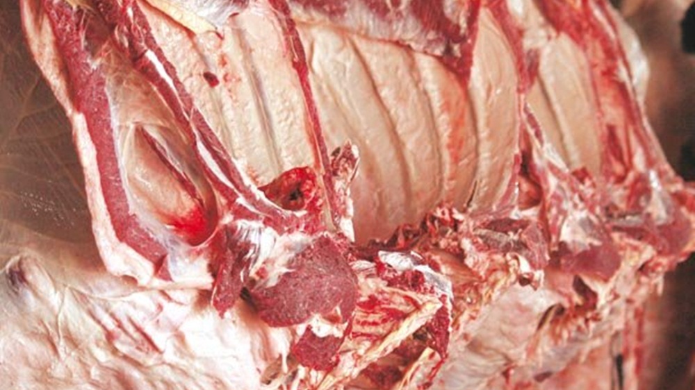  چارے کی برآمد پر پابندی سے دودھ اور گوشت کی قیمتوں میں چالیس فیصد کمی لائی جا سکتی ہے-فائل فوٹو