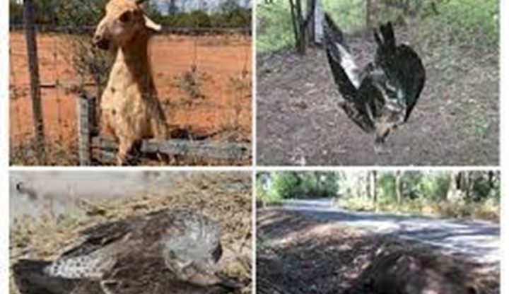  نگران حکومت کیلیے رمضان میں مہنگائی- ذخیرہ اندوزی اور منافع خوری کنٹرول کرنا چیلنج بن گیا،فائل فوٹو