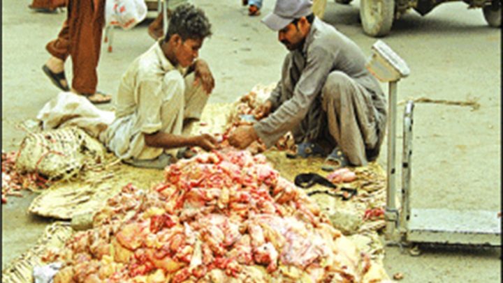 پولیس سرپرستی میں مضافاتی علاقوں کے خالی پلاٹوں میں کارخانے قائم ہیں ، فائل فوٹو 