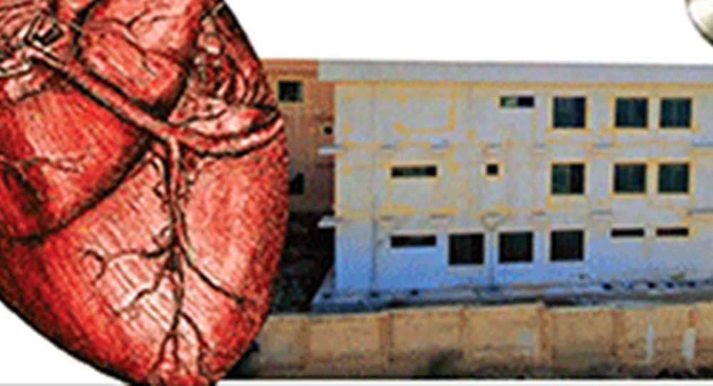  اسپتال کا احاطہ پارکنگ مافیا کے حوالے کردیا گیا، فائل فوٹو