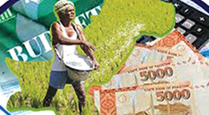 مراعات کے بجائے کسان پر مشکلات لادی گئی ہیں، فائل فوٹو