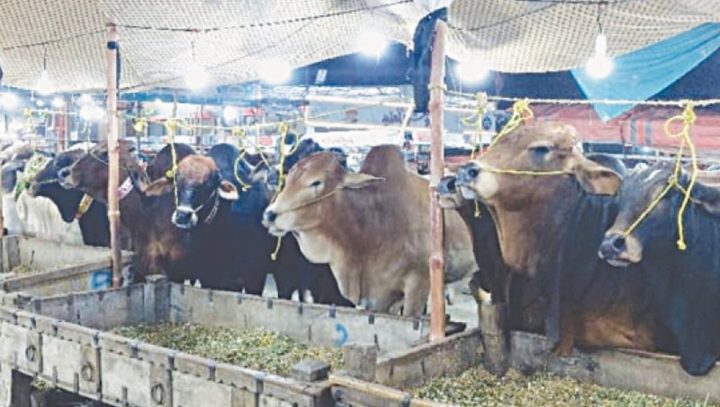  اٹک میں دو کیسز کے بعد کوئی کیس رپورٹ نہیں ہوا، فائل فوٹو