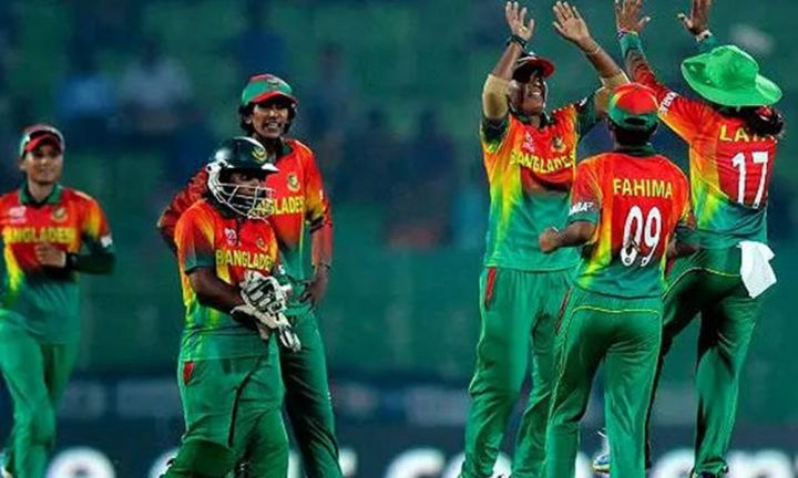 فاطمہ خاتون اورجنت الفردوس نے5،5کھلاڑیوں کوآؤٹ کیا، فائل فوٹو