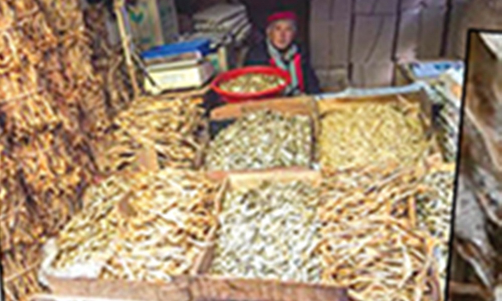  ڈرائی سی فوڈ کارخانوں میں ماہی گیر بستیوں کی خواتین اور بچوں کو روزگار مل گیا، فائل فوٹو