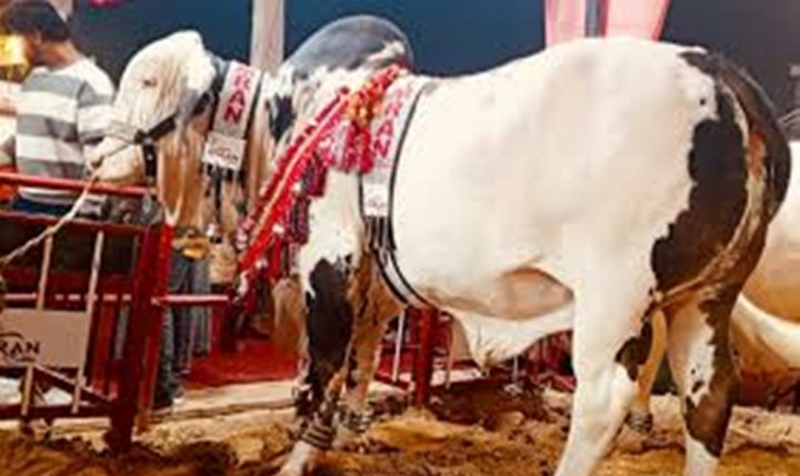  حصہ داروں کے علم میں لائے بغیر منافع جائز نہیں، مفتیان کرام، فائل فوٹو